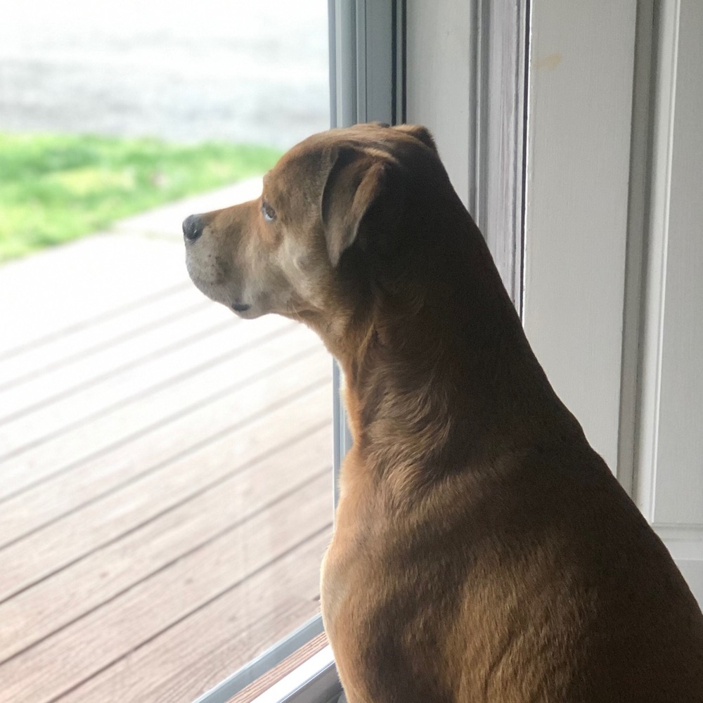 Meet your Posher, Jillian